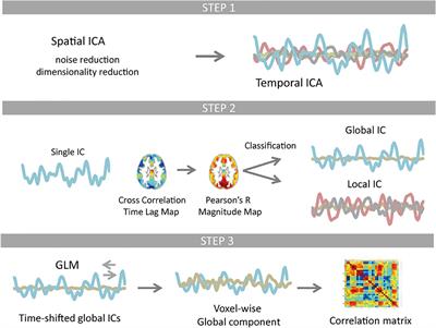 Global vs. Network-Specific Regulations as the Source of Intrinsic Coactivations in Resting-State Networks